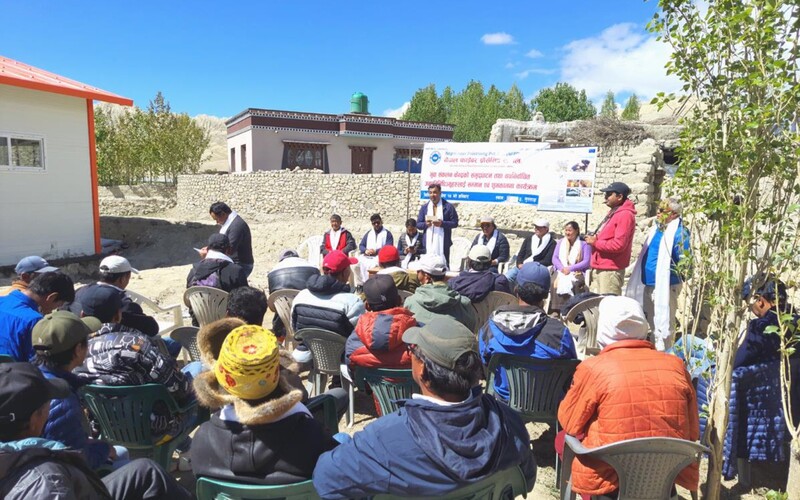 Producer group consultations